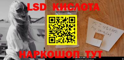 прущие грибы Кингисепп