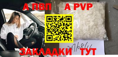 прущие грибы Кингисепп