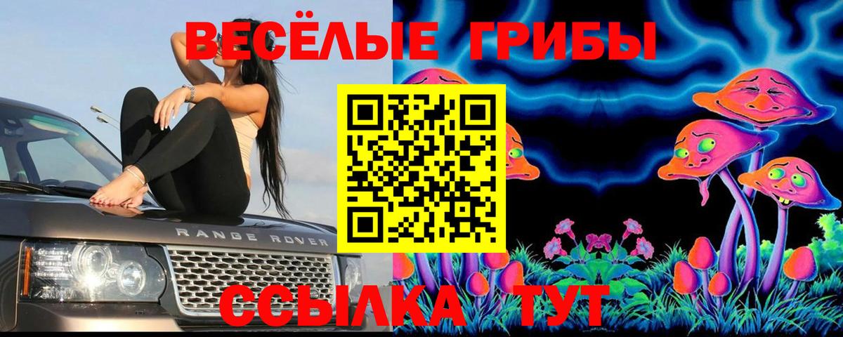 Псилоцибиновые грибы Psilocybe Кисловодск