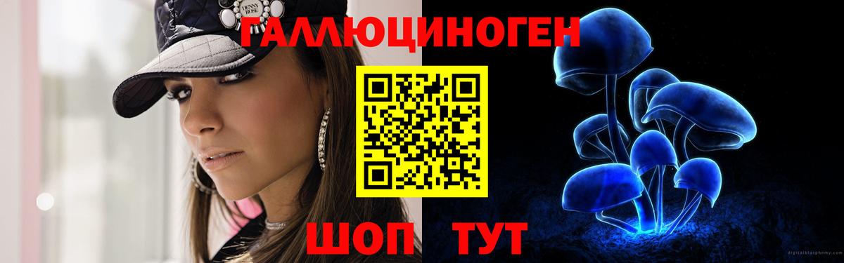 Кисловодск  Псилоцибиновые грибы прущие грибы  Вход с VPN 